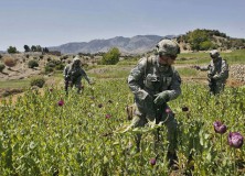 Counternarcotics Afghanistan